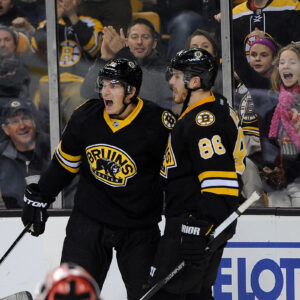 Dec 13, 2014; Boston Bruins left wing Loui Eriksson (21) celebrates his goal during an NHL game in the TD Garden in Boston. (Photo: Brian Fluharty)