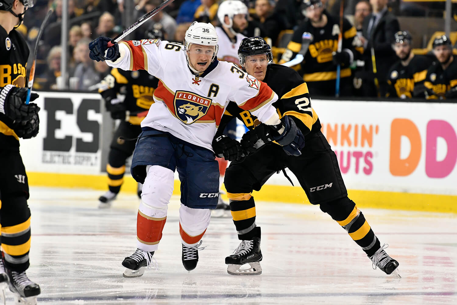 Photo Gallery: Panthers vs Bruins (4/1/17) - Inside Hockey