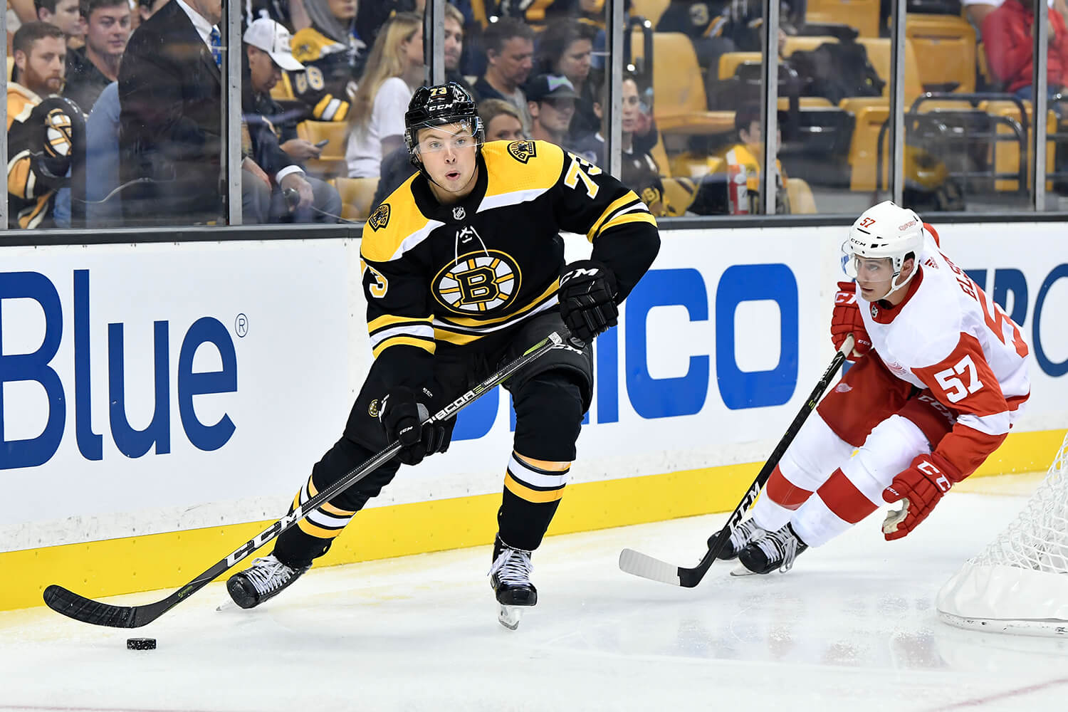 Bruins Handle Red Wings To Remain Perfect On Preseason